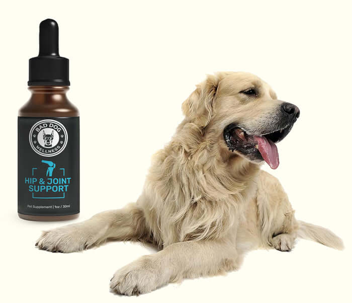 bad dog wellness review