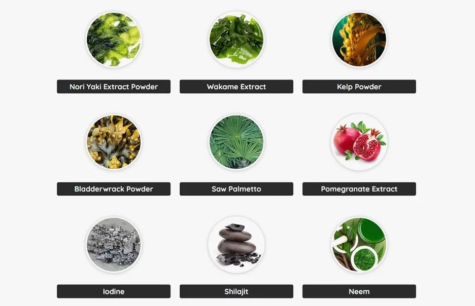 prostadine ingredients